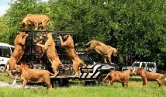 An Outbound Travel Company